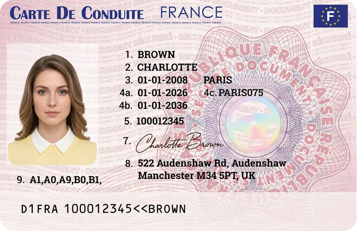 Premium PVC novelty ID card — France Driver's License design