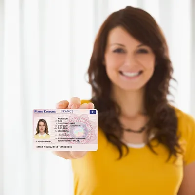 France Driver's License — novelty ID card